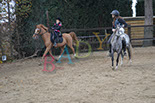 Badyhoeve is een terrein dat tot 3kinderen en hun pony's met de hond Djackson behoort.