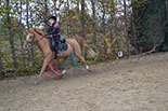 Badyhoeve is een terrein dat tot 3kinderen en hun pony's met de hond Djackson behoort.