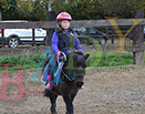Badyhoeve is een terrein dat tot 3kinderen en hun pony's met de hond Djackson behoort.