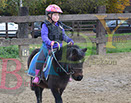 Badyhoeve is een terrein dat tot 3kinderen en hun pony's met de hond Djackson behoort.