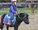 Badyhoeve is een terrein dat tot 3kinderen en hun pony's met de hond Djackson behoort.