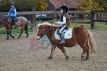 Badyhoeve is een terrein dat tot 3kinderen en hun pony's met de hond Djackson behoort.