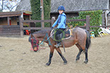 Badyhoeve is een terrein dat tot 3kinderen en hun pony's met de hond Djackson behoort.