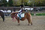 Badyhoeve is een terrein dat tot 3kinderen en hun pony's met de hond Djackson behoort.