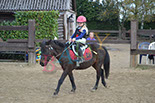 Badyhoeve is een terrein dat tot 3kinderen en hun pony's met de hond Djackson behoort.