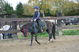 Badyhoeve is een terrein dat tot 3kinderen en hun pony's met de hond Djackson behoort.