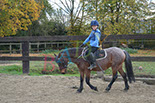 Badyhoeve is een terrein dat tot 3kinderen en hun pony's met de hond Djackson behoort.