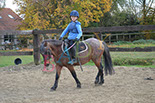 Badyhoeve is een terrein dat tot 3kinderen en hun pony's met de hond Djackson behoort.