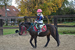 Badyhoeve is een terrein dat tot 3kinderen en hun pony's met de hond Djackson behoort.