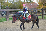Badyhoeve is een terrein dat tot 3kinderen en hun pony's met de hond Djackson behoort.