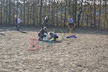 Badyhoeve is een terrein dat tot 3kinderen en hun pony's met de hond Djackson behoort.