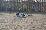Badyhoeve is een terrein dat tot 3kinderen en hun pony's met de hond Djackson behoort.