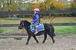 Badyhoeve is een terrein dat tot 3kinderen en hun pony's met de hond Djackson behoort.
