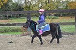 Badyhoeve is een terrein dat tot 3kinderen en hun pony's met de hond Djackson behoort.