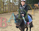 Badyhoeve is een terrein dat tot 3kinderen en hun pony's met de hond Djackson behoort.