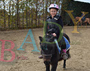 Badyhoeve is een terrein dat tot 3kinderen en hun pony's met de hond Djackson behoort.