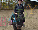 Badyhoeve is een terrein dat tot 3kinderen en hun pony's met de hond Djackson behoort.