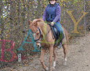 Badyhoeve is een terrein dat tot 3kinderen en hun pony's met de hond Djackson behoort.