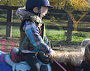 Badyhoeve is een terrein dat tot 3kinderen en hun pony's met de hond Djackson behoort.