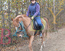 Badyhoeve is een terrein dat tot 3kinderen en hun pony's met de hond Djackson behoort.