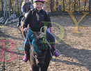 Badyhoeve is een terrein dat tot 3kinderen en hun pony's met de hond Djackson behoort.