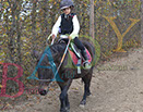 Badyhoeve is een terrein dat tot 3kinderen en hun pony's met de hond Djackson behoort.