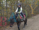 Badyhoeve is een terrein dat tot 3kinderen en hun pony's met de hond Djackson behoort.