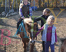Badyhoeve is een terrein dat tot 3kinderen en hun pony's met de hond Djackson behoort.
