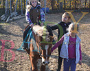 Badyhoeve is een terrein dat tot 3kinderen en hun pony's met de hond Djackson behoort.