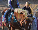 Badyhoeve is een terrein dat tot 3kinderen en hun pony's met de hond Djackson behoort.