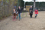 Badyhoeve is een terrein dat tot 3kinderen en hun pony's met de hond Djackson behoort.
