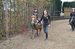 Badyhoeve is een terrein dat tot 3kinderen en hun pony's met de hond Djackson behoort.