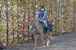 Badyhoeve is een terrein dat tot 3kinderen en hun pony's met de hond Djackson behoort.