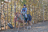 Badyhoeve is een terrein dat tot 3kinderen en hun pony's met de hond Djackson behoort.