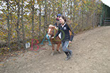 Badyhoeve is een terrein dat tot 3kinderen en hun pony's met de hond Djackson behoort.
