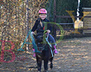 Badyhoeve is een terrein dat tot 3kinderen en hun pony's met de hond Djackson behoort.