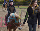 Badyhoeve is een terrein dat tot 3kinderen en hun pony's met de hond Djackson behoort.