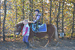 Badyhoeve is een terrein dat tot 3kinderen en hun pony's met de hond Djackson behoort.