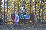 Badyhoeve is een terrein dat tot 3kinderen en hun pony's met de hond Djackson behoort.