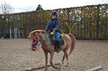 Badyhoeve is een terrein dat tot 3kinderen en hun pony's met de hond Djackson behoort.