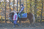 Badyhoeve is een terrein dat tot 3kinderen en hun pony's met de hond Djackson behoort.