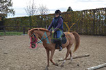Badyhoeve is een terrein dat tot 3kinderen en hun pony's met de hond Djackson behoort.