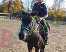 Badyhoeve is een terrein dat tot 3kinderen en hun pony's met de hond Djackson behoort.