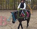 Badyhoeve is een terrein dat tot 3kinderen en hun pony's met de hond Djackson behoort.