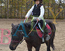 Badyhoeve is een terrein dat tot 3kinderen en hun pony's met de hond Djackson behoort.