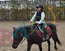 Badyhoeve is een terrein dat tot 3kinderen en hun pony's met de hond Djackson behoort.