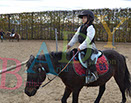 Badyhoeve is een terrein dat tot 3kinderen en hun pony's met de hond Djackson behoort.