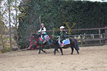 Badyhoeve is een terrein dat tot 3kinderen en hun pony's met de hond Djackson behoort.