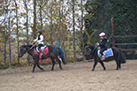Badyhoeve is een terrein dat tot 3kinderen en hun pony's met de hond Djackson behoort.