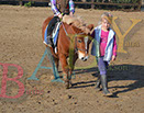 Badyhoeve is een terrein dat tot 3kinderen en hun pony's met de hond Djackson behoort.